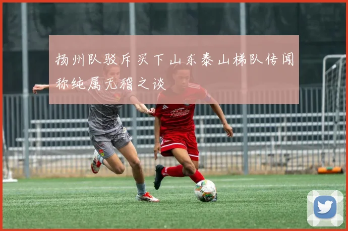 扬州队驳斥买下山东泰山梯队传闻称纯属无稽之谈
