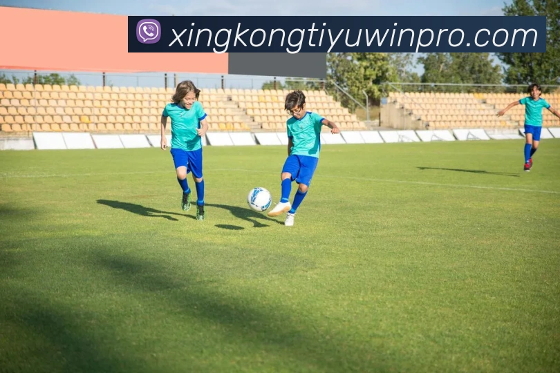 多媒体互动体验