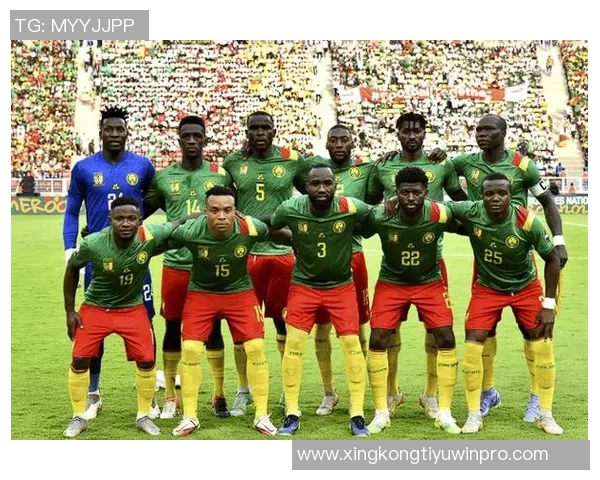 佩佩因不当言论遭批评无缘代表科特迪瓦征战非洲杯